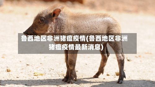 鲁西地区非洲猪瘟疫情(鲁西地区非洲猪瘟疫情最新消息)-第2张图片