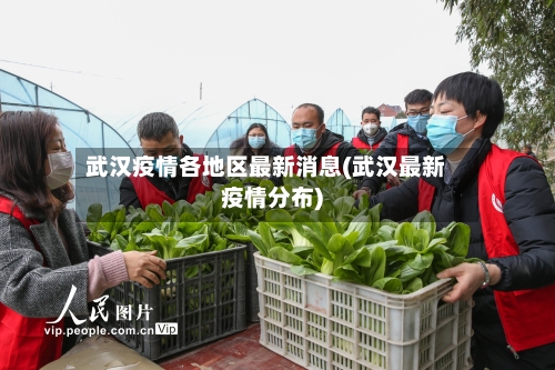 武汉疫情各地区最新消息(武汉最新疫情分布)-第2张图片