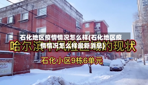 石化地区疫情情况怎么样(石化地区疫情情况怎么样最新消息)