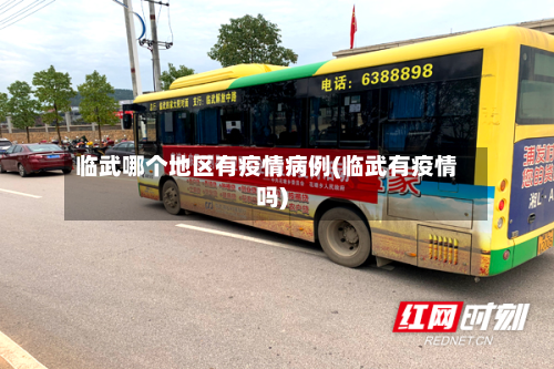 临武哪个地区有疫情病例(临武有疫情吗)