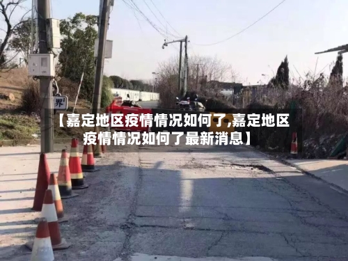 【嘉定地区疫情情况如何了,嘉定地区疫情情况如何了最新消息】-第2张图片