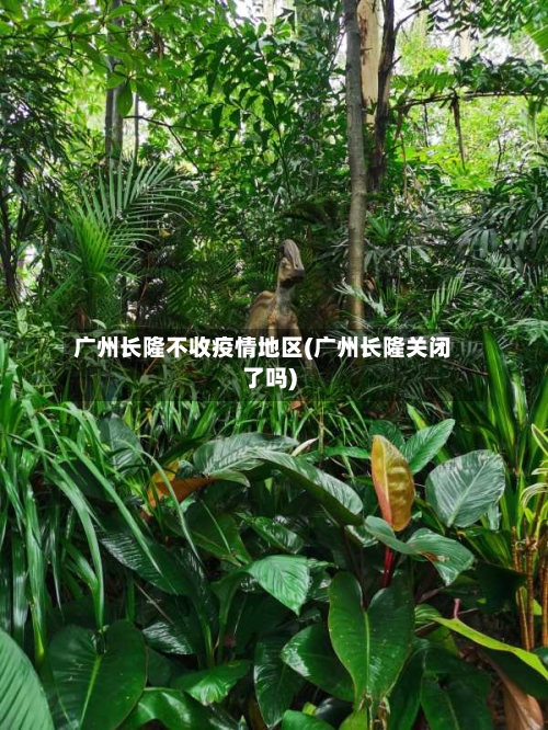 广州长隆不收疫情地区(广州长隆关闭了吗)
