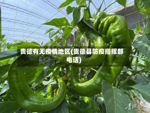 贵德有无疫情地区(贵德县防疫指挥部电话)-第3张图片