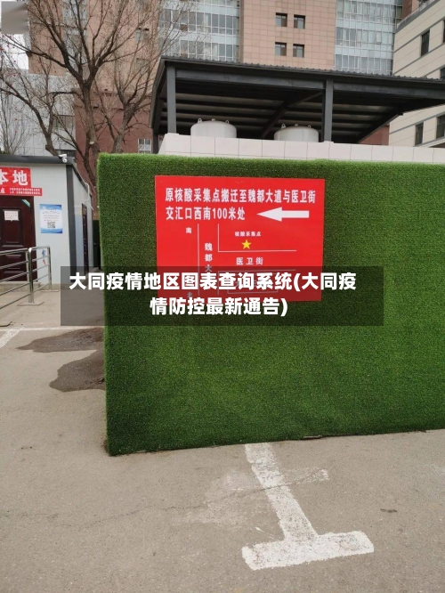 大同疫情地区图表查询系统(大同疫情防控最新通告)-第2张图片