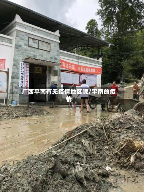 广西平南有无疫情地区呢/平南的疫情-第2张图片