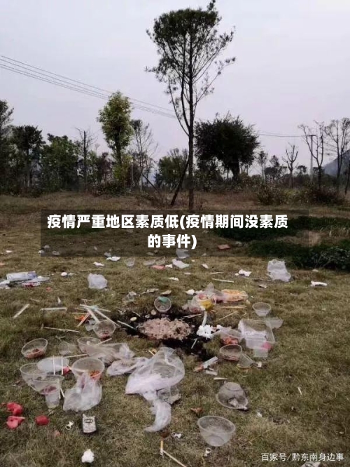 疫情严重地区素质低(疫情期间没素质的事件)
