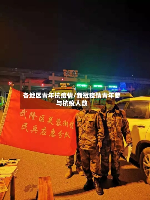 各地区青年抗疫情/新冠疫情青年参与抗疫人数