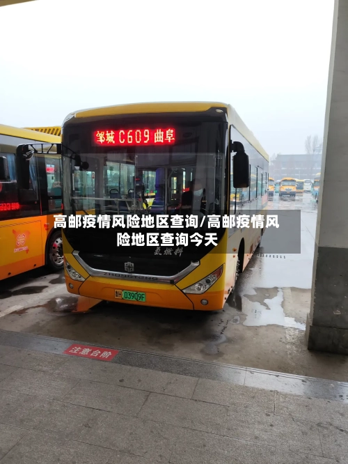 高邮疫情风险地区查询/高邮疫情风险地区查询今天-第3张图片