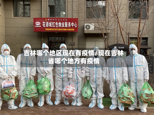 吉林哪个地区现在有疫情/现在吉林省哪个地方有疫情-第2张图片