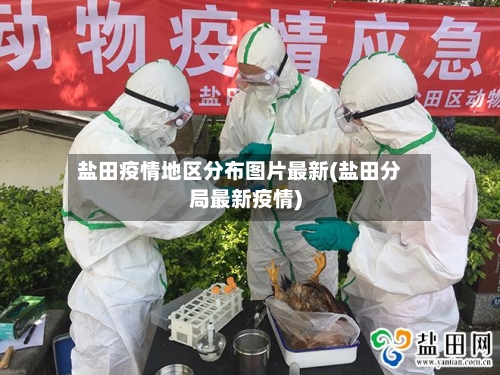 盐田疫情地区分布图片最新(盐田分局最新疫情)-第3张图片