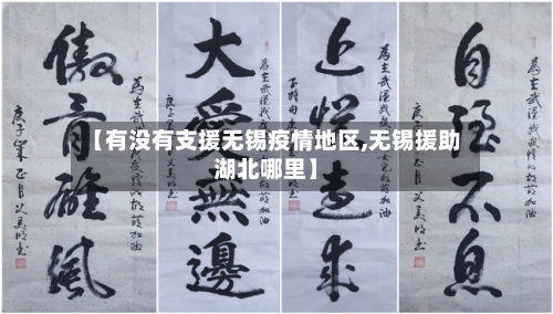 【有没有支援无锡疫情地区,无锡援助湖北哪里】-第2张图片