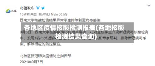 各地区疫情核酸检测报表(各地核酸检测结果查询)-第2张图片