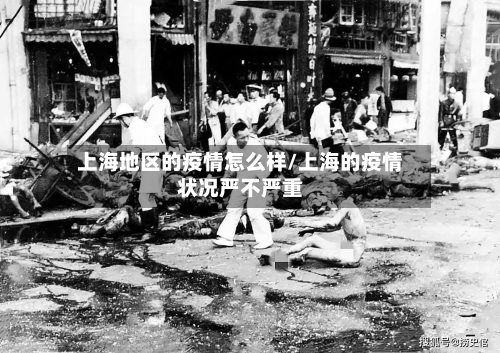 上海地区的疫情怎么样/上海的疫情状况严不严重
