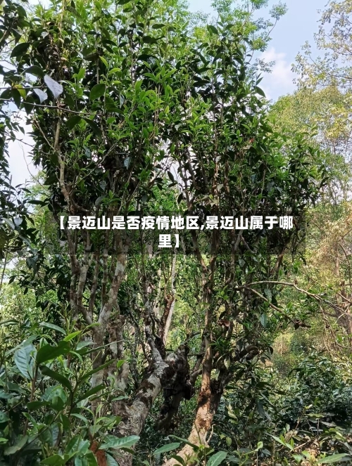 【景迈山是否疫情地区,景迈山属于哪里】