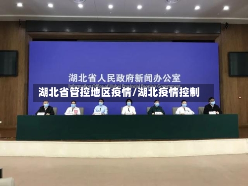 湖北省管控地区疫情/湖北疫情控制