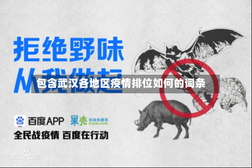 包含武汉各地区疫情排位如何的词条