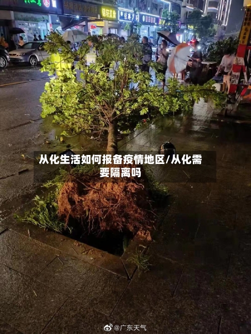 从化生活如何报备疫情地区/从化需要隔离吗-第2张图片