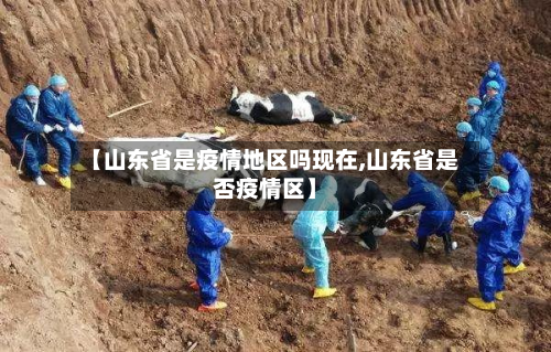 【山东省是疫情地区吗现在,山东省是否疫情区】