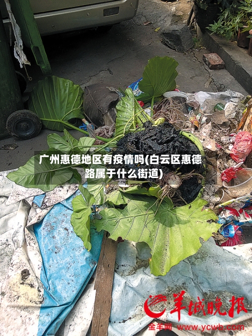 广州惠德地区有疫情吗(白云区惠德路属于什么街道)