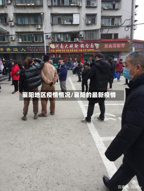 襄阳地区疫情情况/襄阳的最新疫情-第3张图片