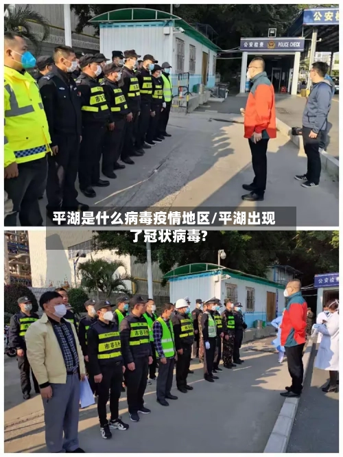 平湖是什么病毒疫情地区/平湖出现了冠状病毒?-第2张图片