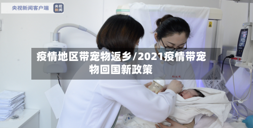 疫情地区带宠物返乡/2021疫情带宠物回国新政策