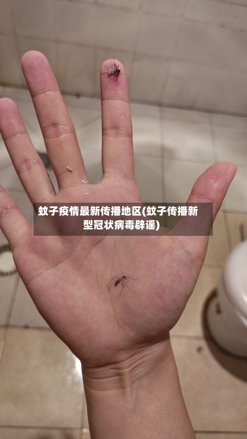 蚊子疫情最新传播地区(蚊子传播新型冠状病毒辟谣)-第2张图片