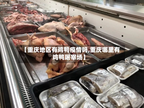 【重庆地区有鸡鸭疫情吗,重庆哪里有鸡鸭屠宰场】