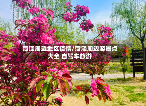 菏泽周边地区疫情/菏泽周边游景点大全 自驾车旅游