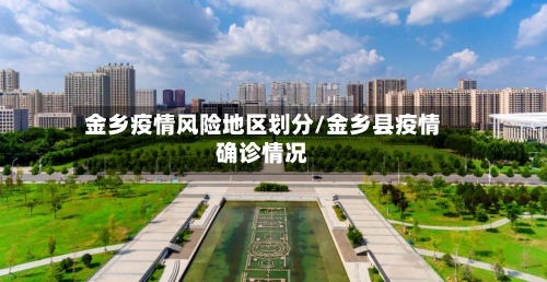 金乡疫情风险地区划分/金乡县疫情确诊情况