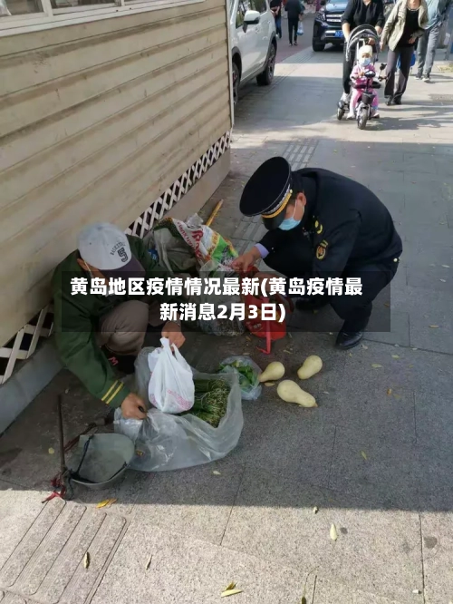 黄岛地区疫情情况最新(黄岛疫情最新消息2月3日)