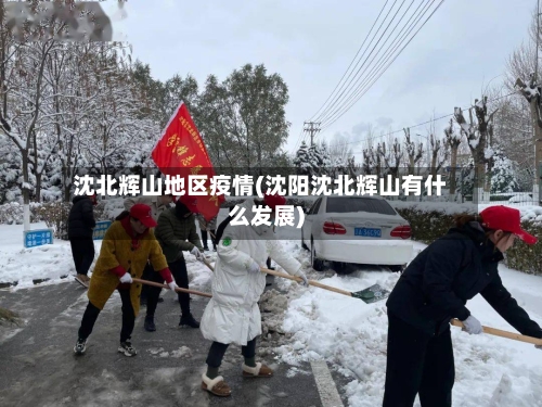 沈北辉山地区疫情(沈阳沈北辉山有什么发展)